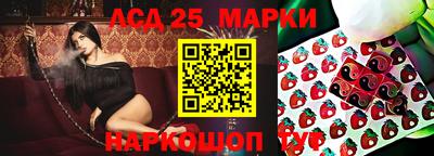 гидропоника Обнинск