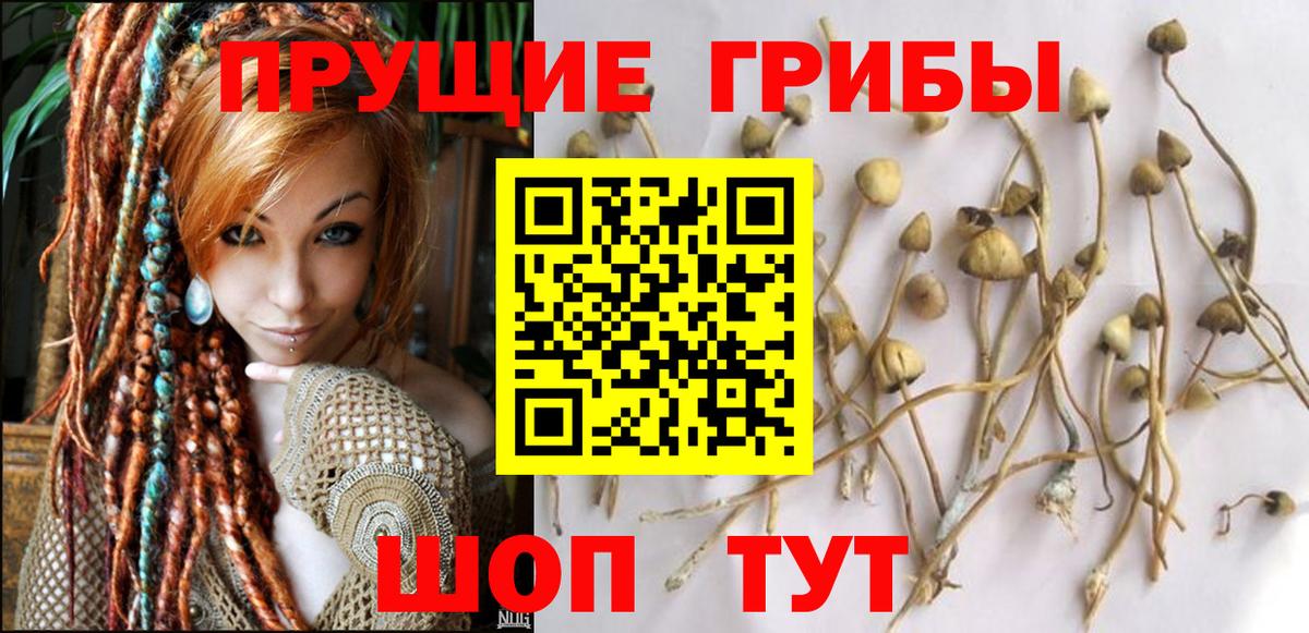 Галлюциногенные грибы Magic Shrooms Сургут